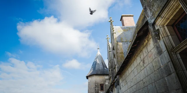 Château de Langeais