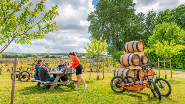 Degustazione di Chateau de Minière