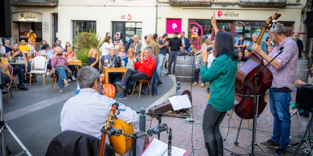 Festival Voyages en Guitare ville de Chinon