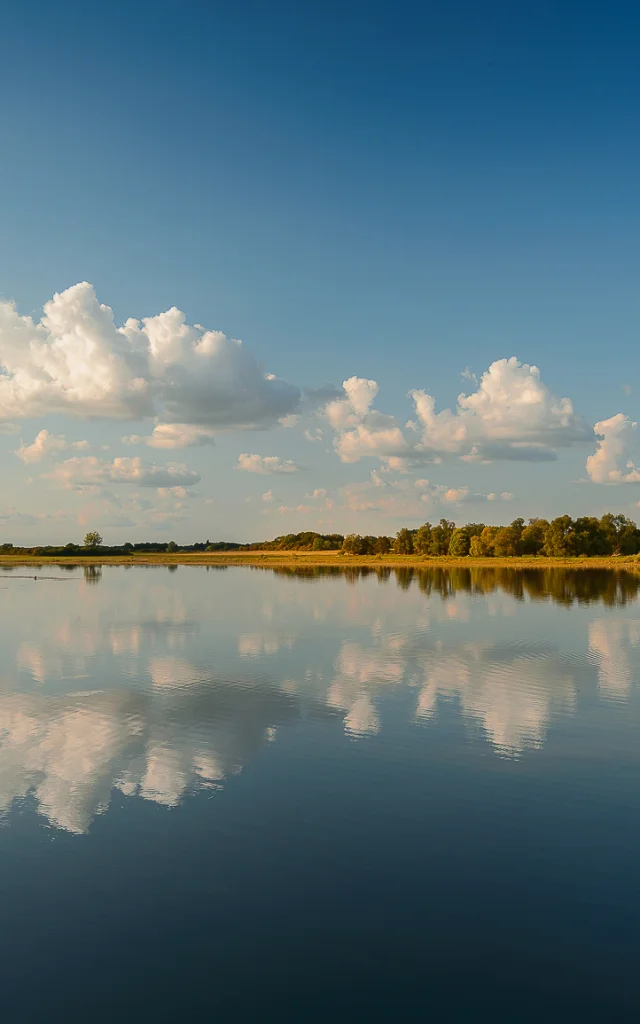 Lac de Rillé