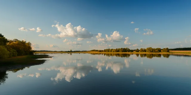 Lac de Rillé