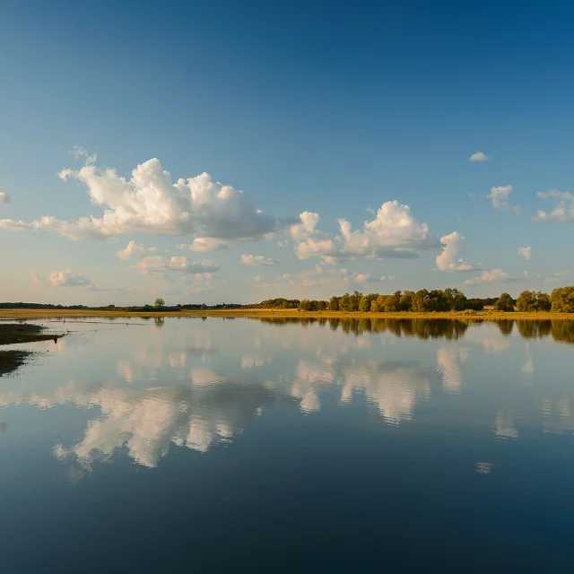 Lac de Rillé