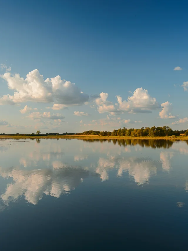 Lac de Rillé