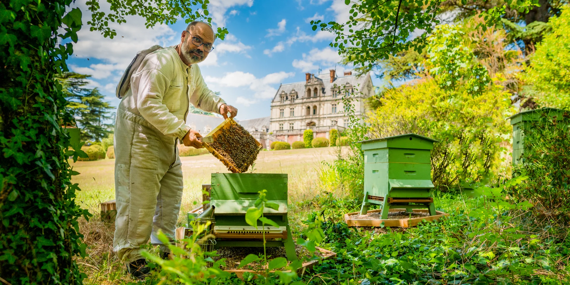 Miel Rucher De La Dame Blanche au château de la Bourdaisière