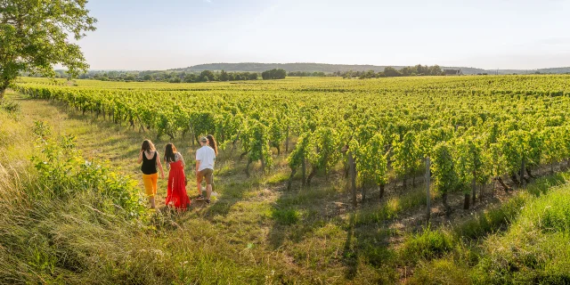 Reportage Touraine Nature Credit Adt Touraine Jc Coutand 2034 66