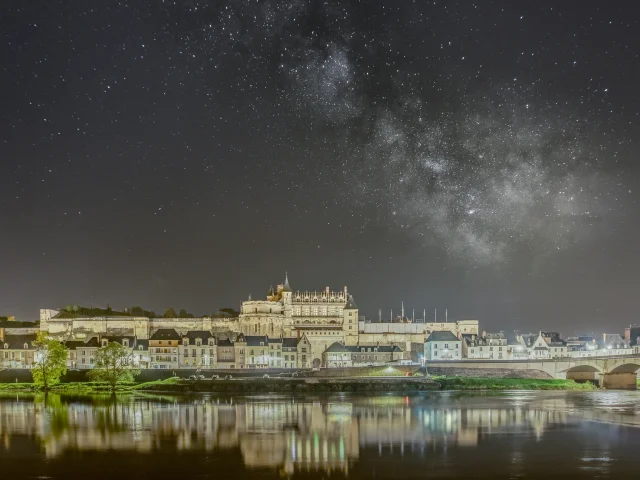 Château royal d'Amboise la nuit