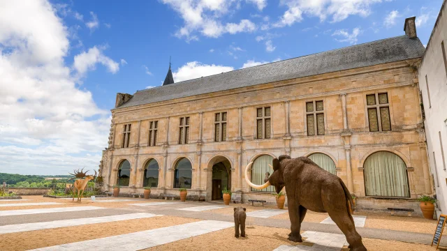 Musée de la Préhistoire - Grand Pressigny
