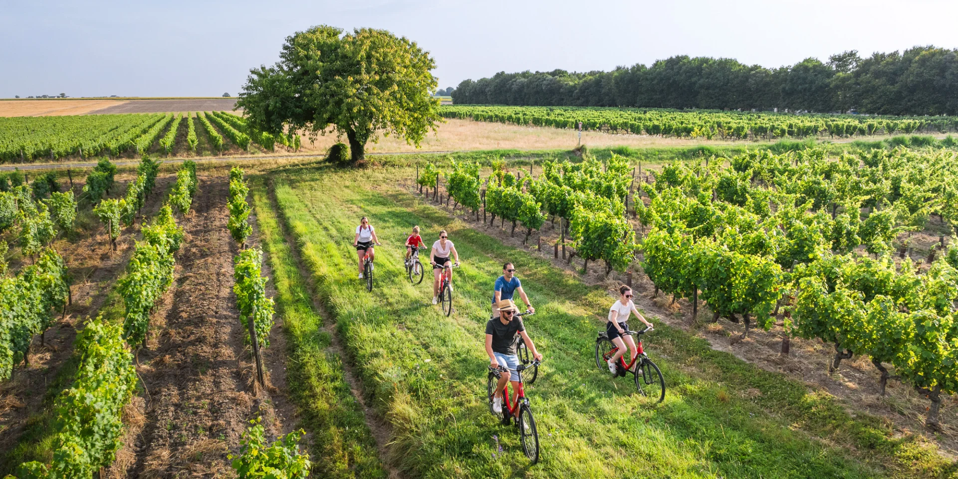 Activités en famille le long des itinéraires - balade à vélo en Touraine