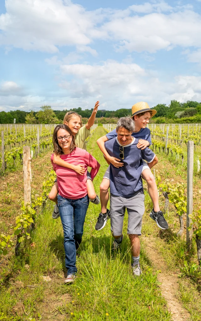 Balade dans les vignes château de l'Aulée à Azay-le-Rideau