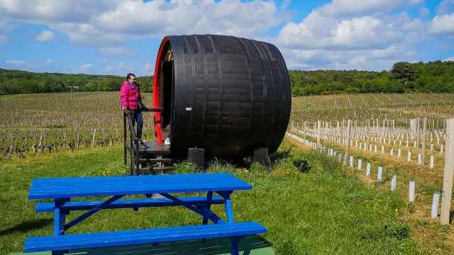 Le Mont Sigou, dans le vignoble de Bourgueil. Domaine Lamé-Delisle-Boucard