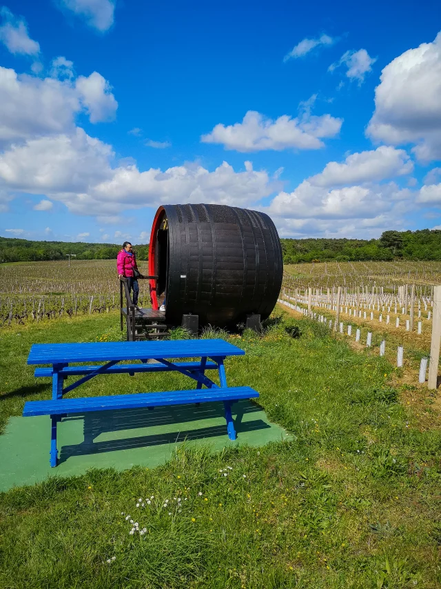 Le Mont Sigou, dans le vignoble de Bourgueil. Domaine Lamé-Delisle-Boucard