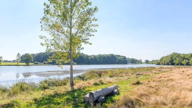 Etang de l'Archevêque - Villedomer