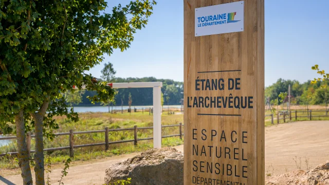 Etang de l'Archevêque - Villedomer
