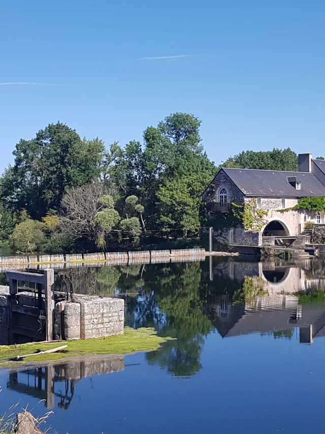 Barrage à aiguilles sur le Cher