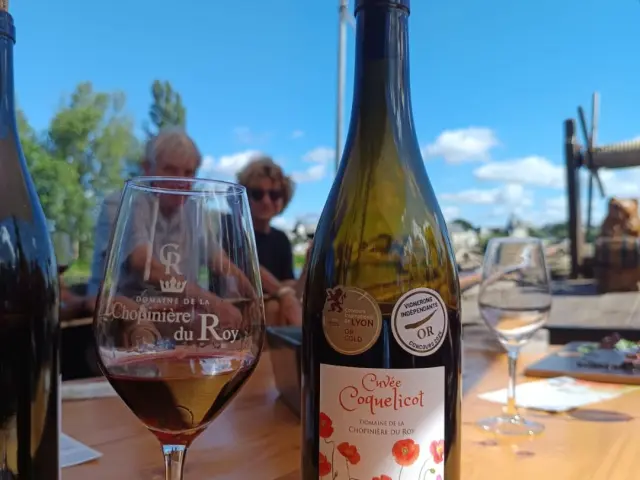 Domaine de la Chopiniere du Roy, à Saint-Nicolas-de-Bourgueil