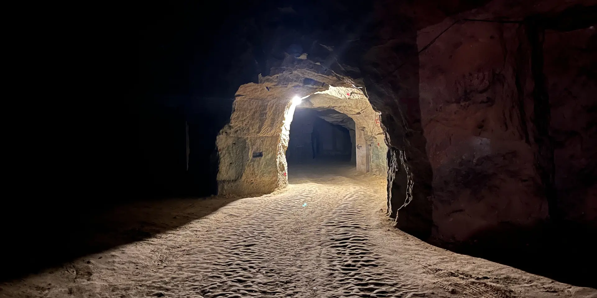 Domaine de la Chopiniere du Roy, à Saint-Nicolas-de-Bourgueil