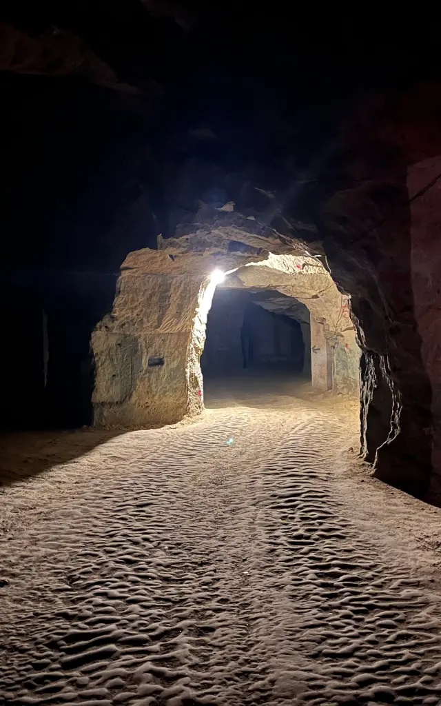 Domaine Chopiniere Du Roy Saint Nicolas De Bourgueil