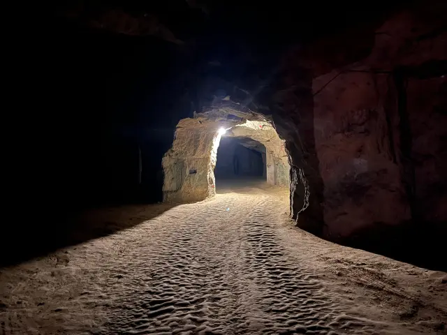 Domaine de la Chopiniere du Roy, à Saint-Nicolas-de-Bourgueil