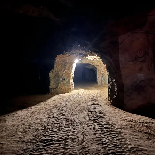 Domaine de la Chopiniere du Roy, à Saint-Nicolas-de-Bourgueil