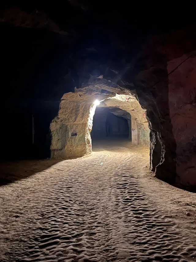 Domaine Chopinière Du Roy Saint Nicolas De Bourgueil