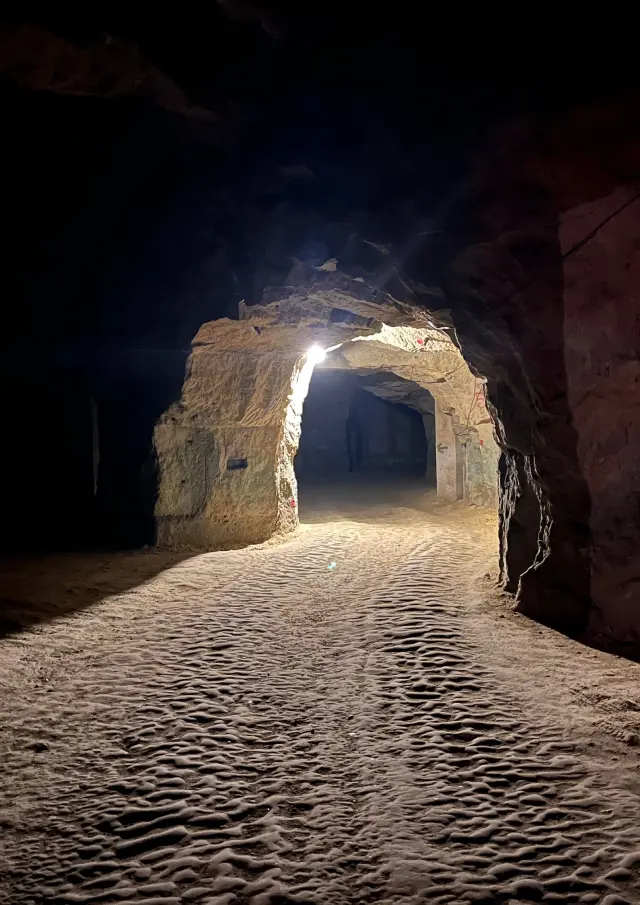 Domaine Chopinière Du Roy Saint Nicolas De Bourgueil