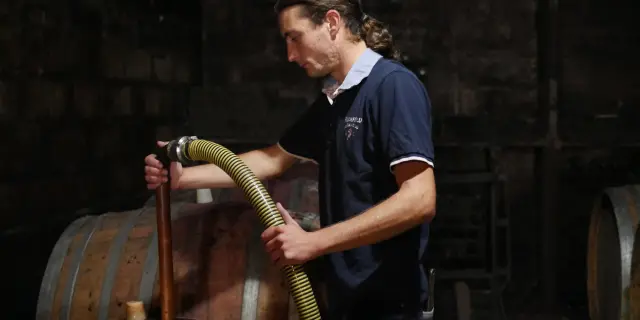 Domaine de la Chopiniere du Roy, à Saint-Nicolas-de-Bourgueil