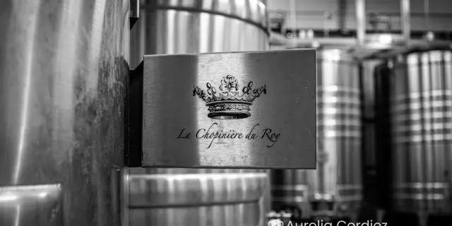 Domaine Chopiniere Du Roy Saint Nicolas De Bourgueil Chai Aurelia Cordiez 2035