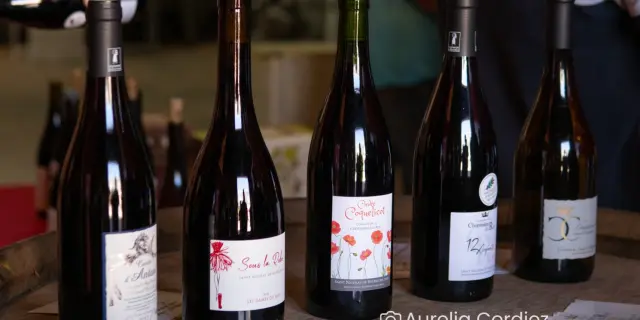 Vin Chopinière Du Roy Aurelia Cordiez 2035