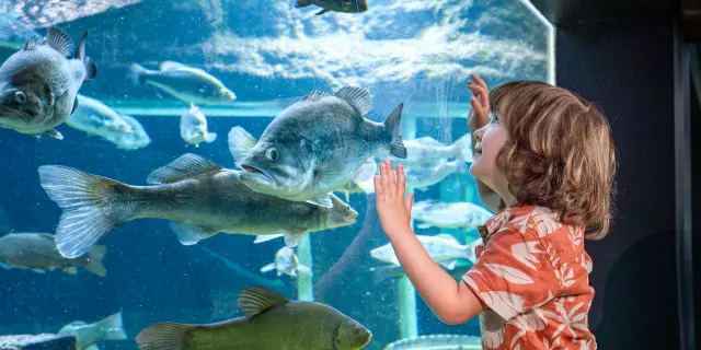 Aquarium De Touraine Credit Aquarium Tom Besse 2025 1