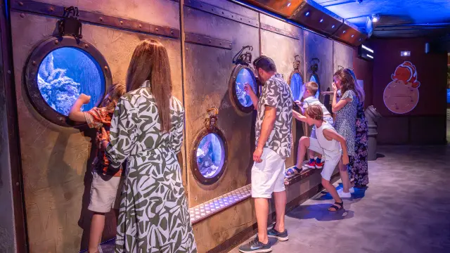 Aquarium De Touraine Credit Aquarium Tom Besse 2025 2 1