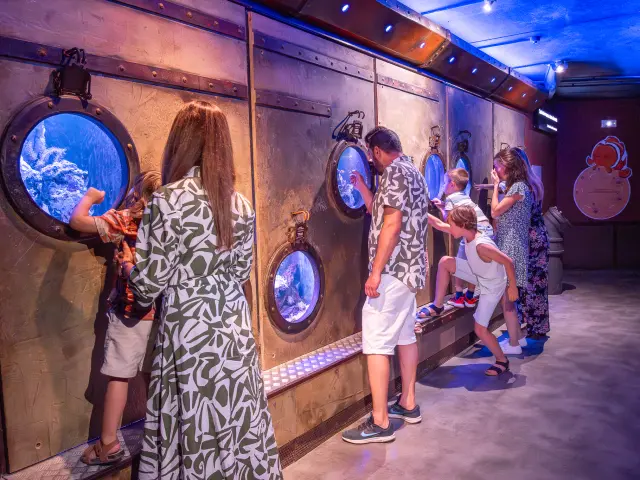 Aquarium De Touraine Credit Aquarium Tom Besse 2025 2 1