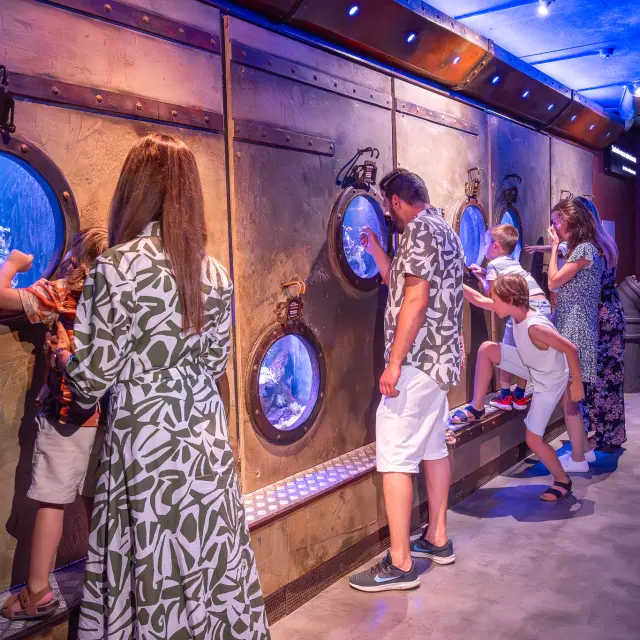 Aquarium De Touraine Credit Aquarium Tom Besse 2025 2 1