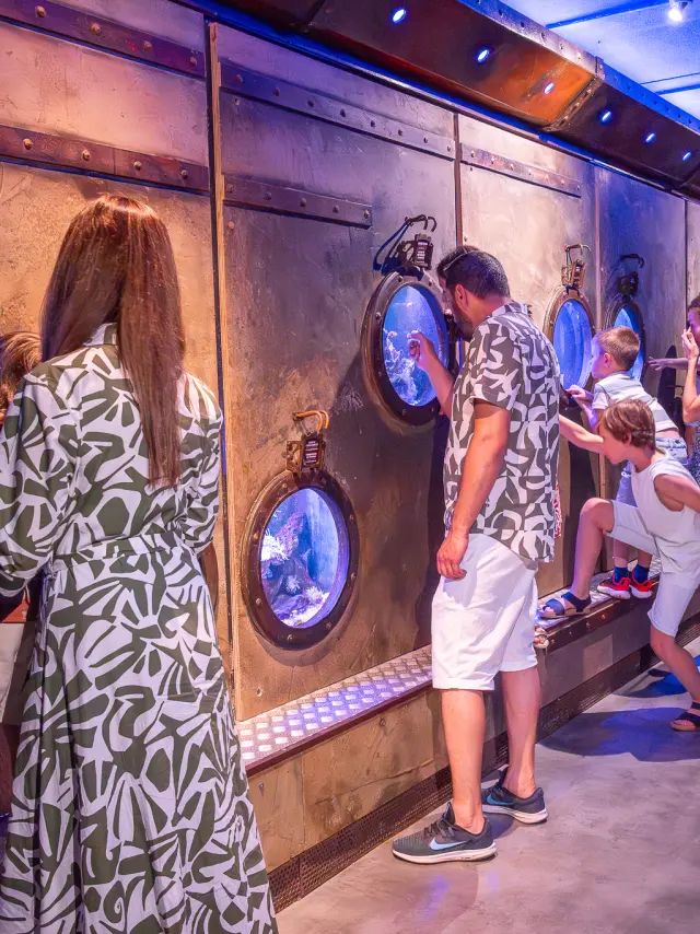 Aquarium De Touraine Credit Aquarium Tom Besse 2025 2 1