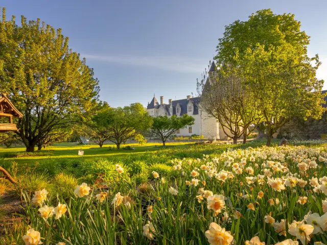 Chateau du Rivau - Lémeré