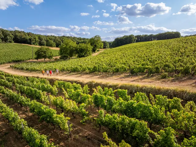 Destination Vignobles & Découvertes - Chinon Bourgueil Azay. Domaine de la Noblaie