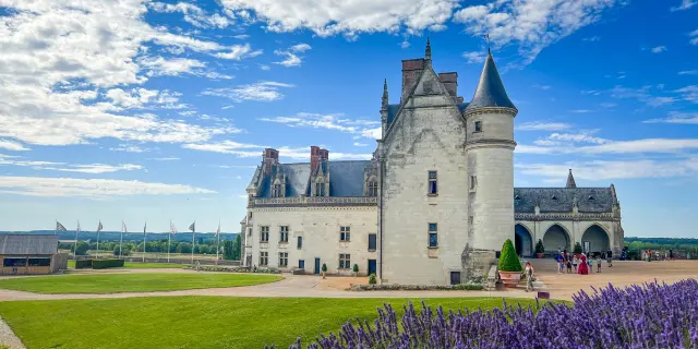 Castillo de Amboise, Jardines, Crédito: Adt Touraine M Taffut 2032 6