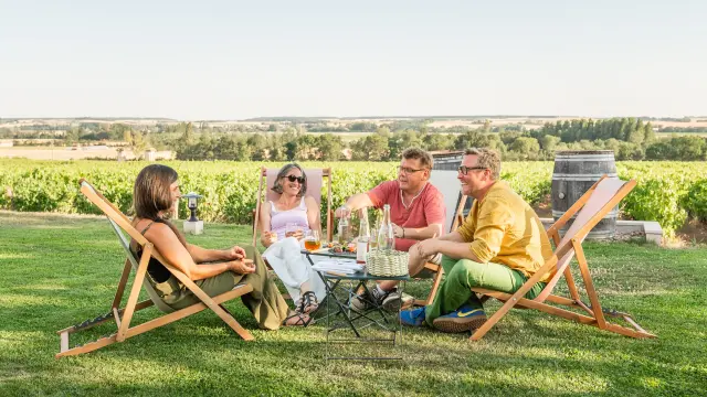 Domaine Grosbois, à Panzoult.