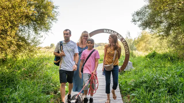 Marais de Taligny - Espace Naturel Sensible