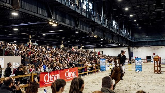 Salon du Cheval au Parc des Expositions