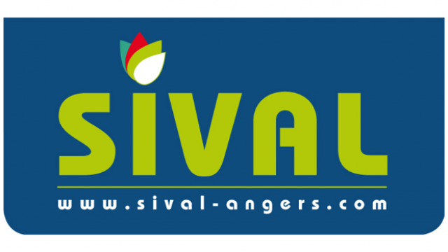 Sival