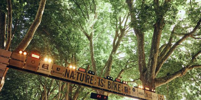 Les Secrets De Ramsar Nature Is Bike Copyright Alexandre Lamoureux Destination Angers 16830
