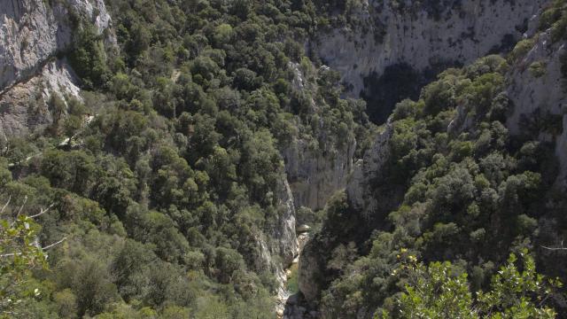 Gorges Galamus 0044
