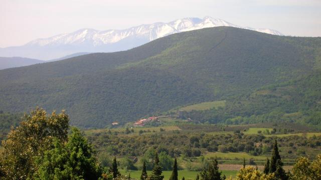Paysage Canigou3