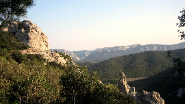 Paysage Fenouilledes2