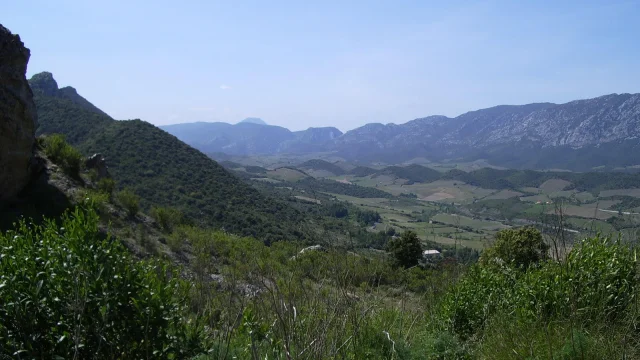 Paysage Fenouilledes3