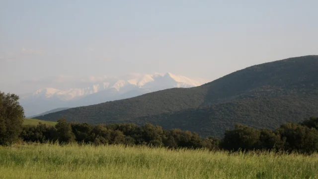 Paysage Prairie Canigou2