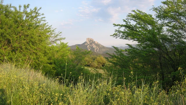 Paysage Printemps2