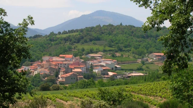 Paysage Village Fenouilledesp