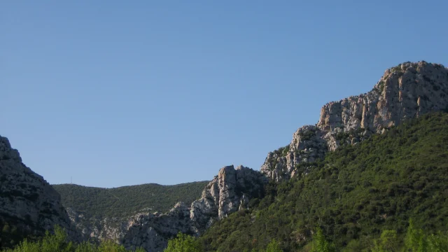 Roche Garrigue