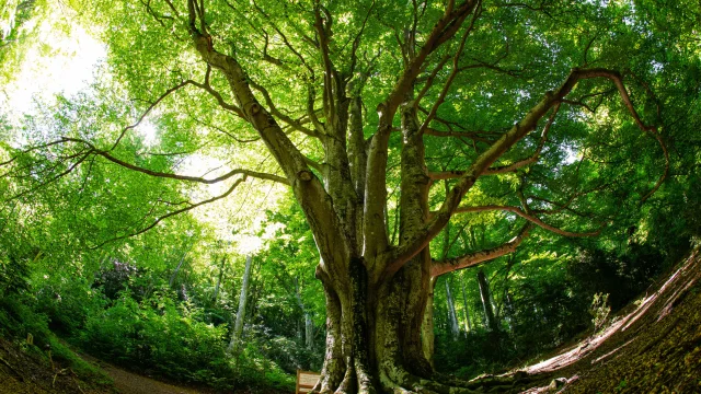 Le vivier fajas 2019 04